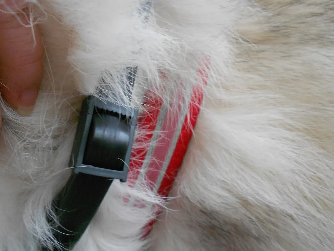 Adaptil Calm - On the Go Collar with Pheromones for Anxious for Dogs & Puppies Fashion