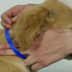 Adaptil Junior - On the Go & Training Pheromone Collar for Puppies Fashion