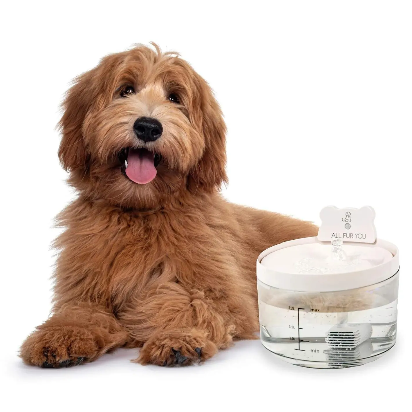 All Fur You Auto Sensor Water Fountain USB | Smart Pet Hydration Outlet