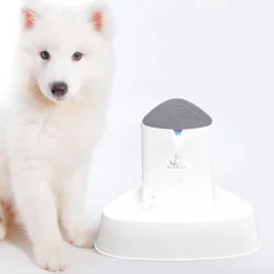 All Fur You Seashell Triple Filtration Pet Water Water Fountain Hot