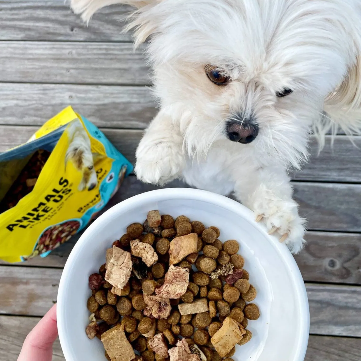 Animals Like Us Dog Food RawMix50 Grass-Fed Beef 50% Freeze Dried Raw Fashion