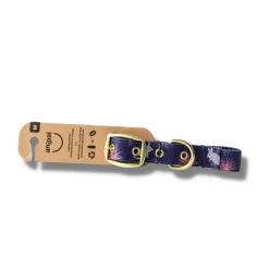 Anipal Billie The Bilby Brass & 100% Recycled Dog Collar Hot