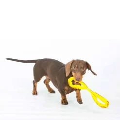 Aussie Dog Eightathong Floating Tug Dog Toy - Medium Sale