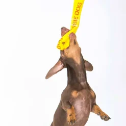 Aussie Dog Eightathong Floating Tug Dog Toy - Medium Sale