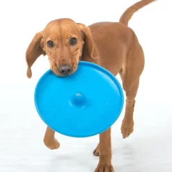 Aussie Dog Flying Disc Fetch Dog Toy - Blue Soft Frisbee New