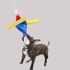 Aussie Dog Heavy Duty Bungie Chook Tough Hanging Dog Toy Online