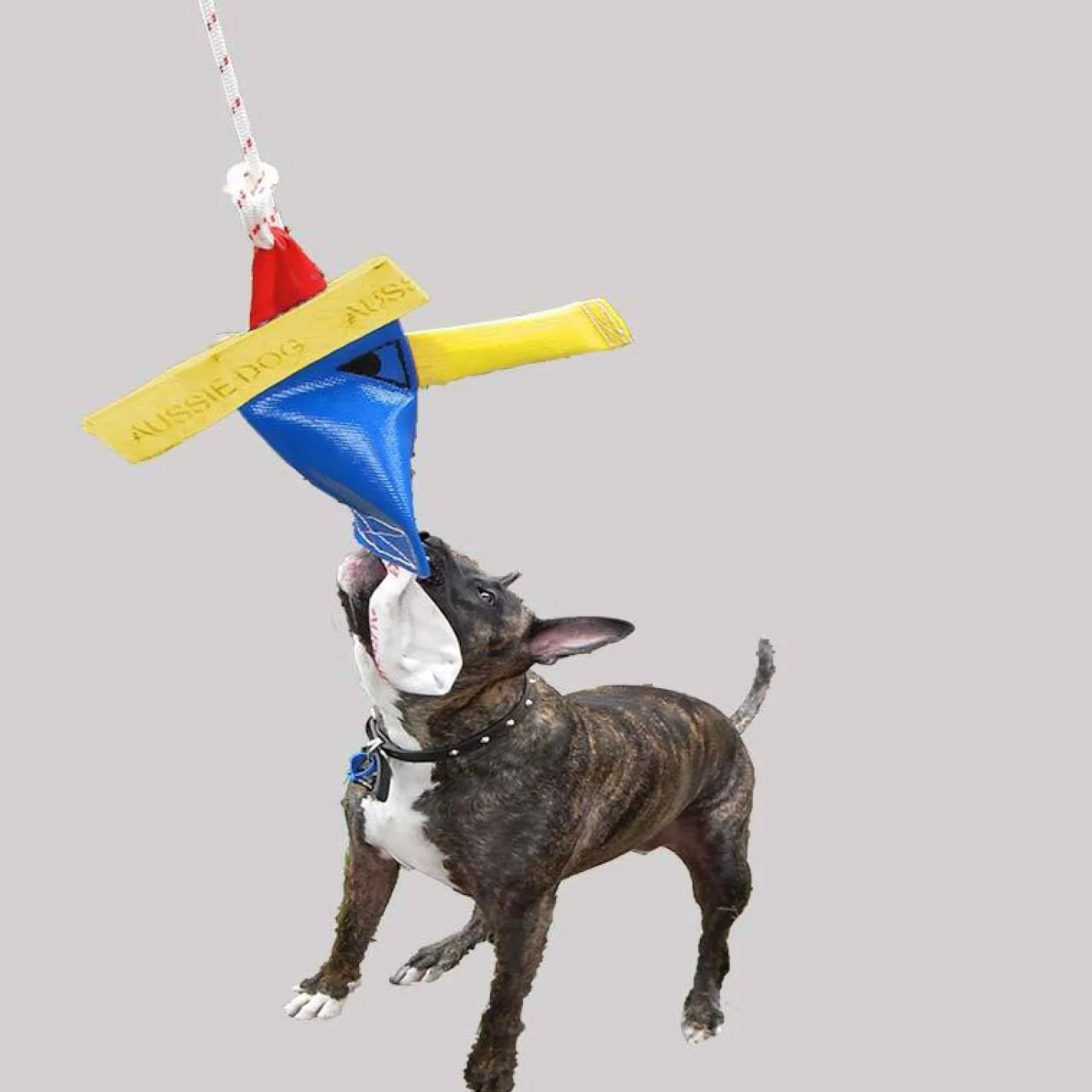 Aussie Dog Heavy Duty Bungie Chook Tough Hanging Dog Toy Online