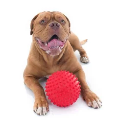 Aussie Dog Mitch Tough Rubber Dog Ball - Hard Red Sale