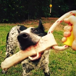 Aussie Dog Tugathong Tough Tug Dog Toy for Large Dogs over 30kg Sale