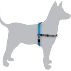 BlackDog Wear Black Dog Balance Halter - Front & Back Attach Dog Harness Online