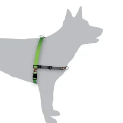 BlackDog Wear Black Dog Balance Halter - Front & Back Attach Dog Harness Online