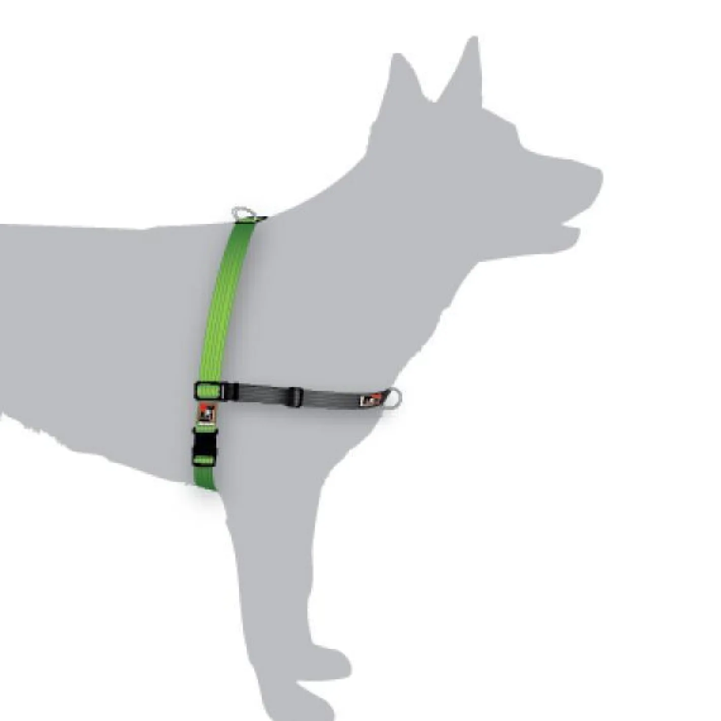 BlackDog Wear Black Dog Balance Halter - Front & Back Attach Dog Harness Online