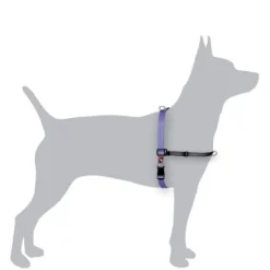 BlackDog Wear Black Dog Balance Halter - Front & Back Attach Dog Harness Online