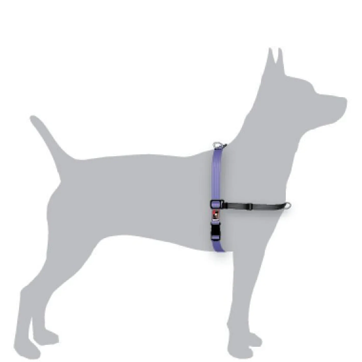 BlackDog Wear Black Dog Balance Halter - Front & Back Attach Dog Harness Online