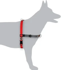 BlackDog Wear Black Dog Balance Halter - Front & Back Attach Dog Harness Online