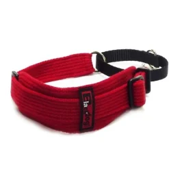 BlackDog Wear Black Dog Sighthound Martingale Collar for Greyhounds New