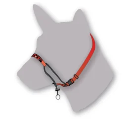 BlackDog Wear Black Dog Training Head Halter with Chin Clip Clearance