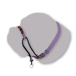 BlackDog Wear Black Dog Training Head Halter with Chin Clip Clearance