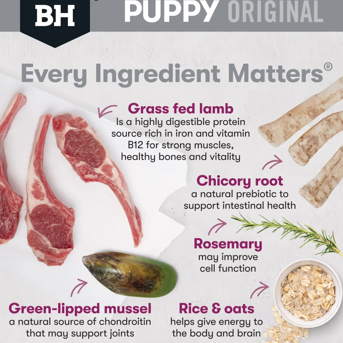Black Hawk Original Lamb & Rice Puppy Dry Dog Food for Large Breeds Clearance