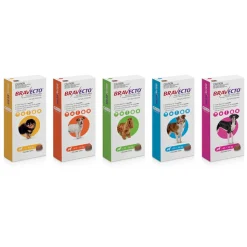 Bravecto Dog 3-Month Single Chew for Flea & Tick Control Fashion