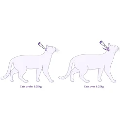 Bravecto PLUS Spot-On 3 month Flea, Tick & Worm Protection - For Cats of All Sizes New