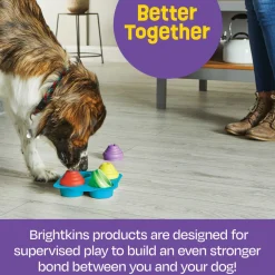 Brightkins Cupcake Party! Interactive Dog Treat Dispensing Toy & Puzzle Hot