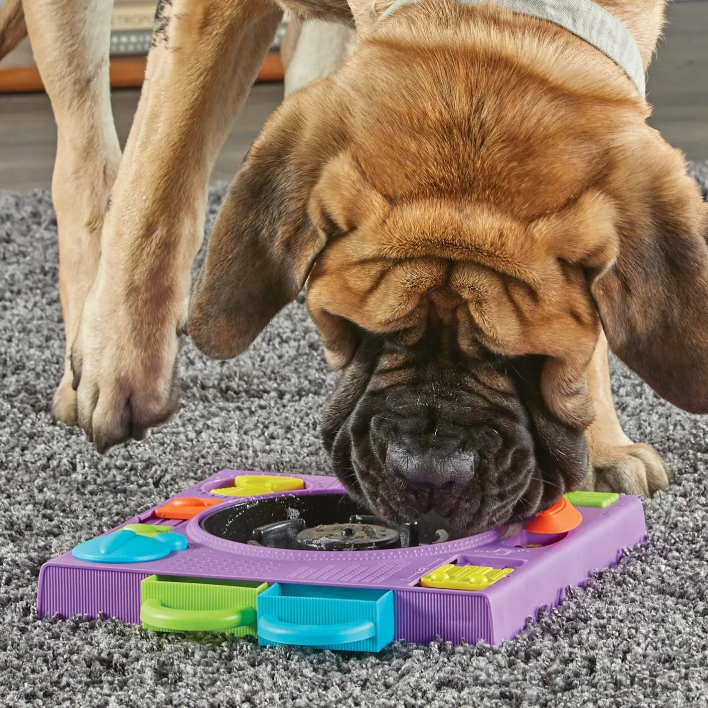 Brightkins DJ Doggo Interactive Dog Toy & Puzzle Feeder Fashion
