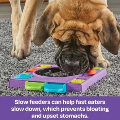 Brightkins DJ Doggo Interactive Dog Toy & Puzzle Feeder Fashion