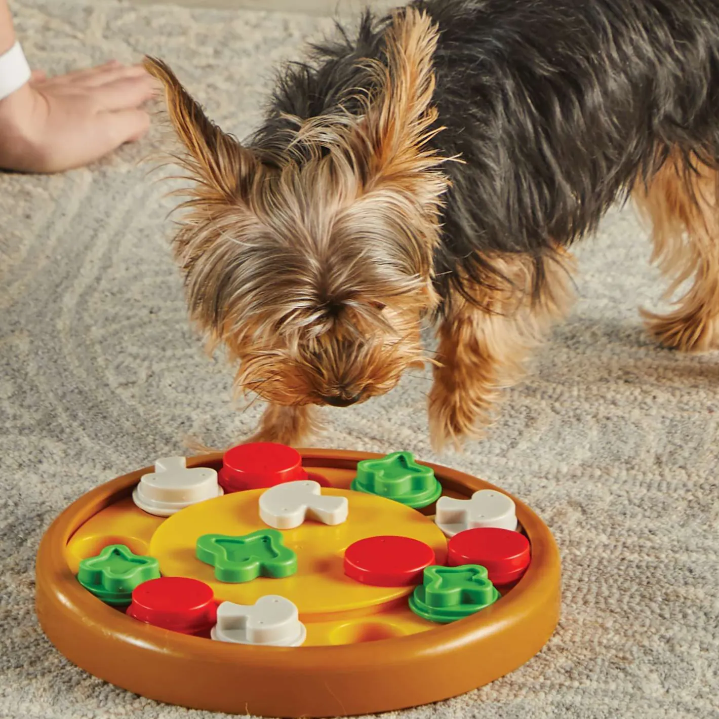 Brightkins Pizza Party! Interactive Dog Treat & Food Puzzle Toy Best