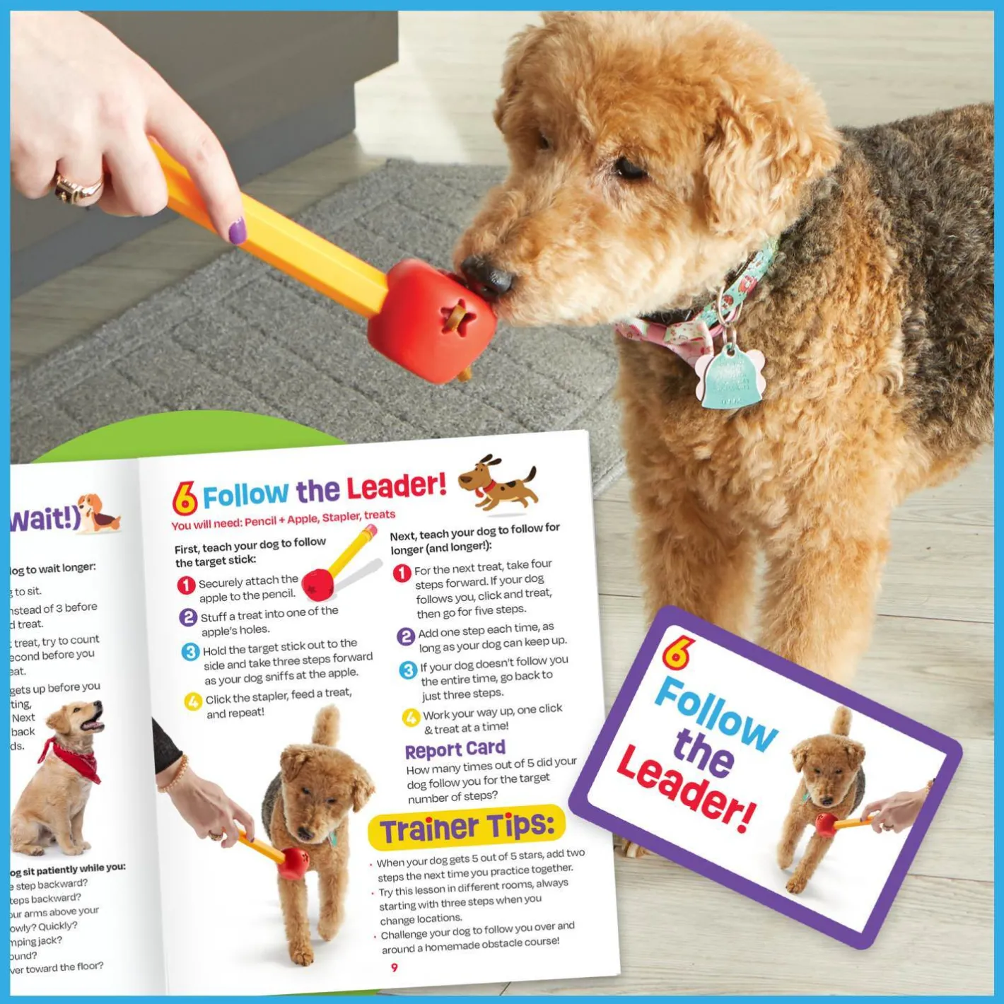 Brightkins Pooch School! Interactive Dog Training Set - Perfect for Puppies Best