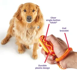 Brightkins Smarty Pooch Dog Training Clicker: Hot Dog Sale