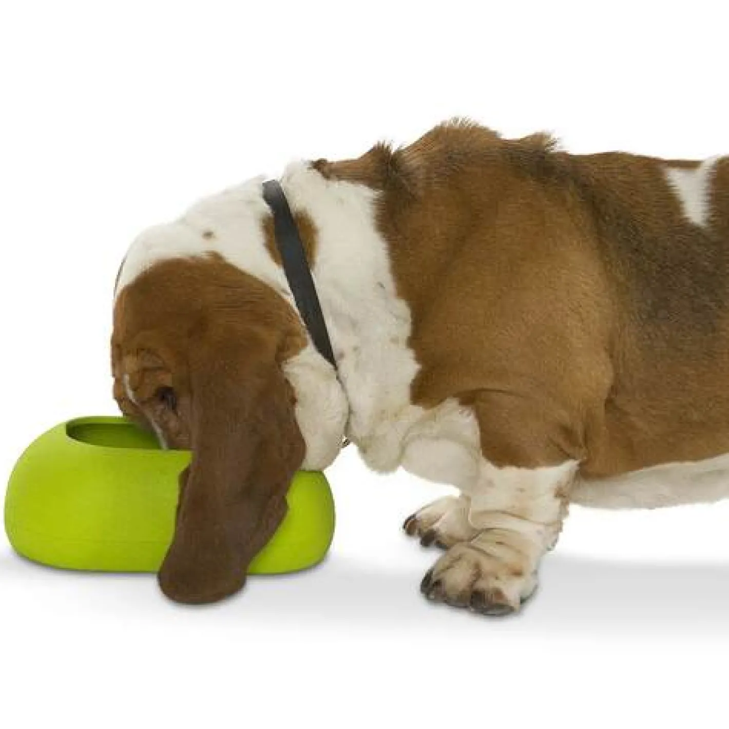 Buster IncrediBowl Wet and Dry Food Bowl for Long Eared Dogs - 2 Sizes Fashion