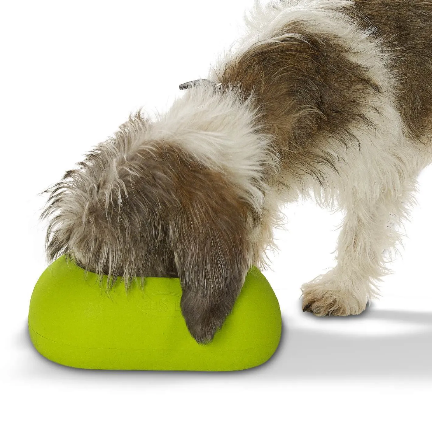 Buster IncrediBowl Wet and Dry Food Bowl for Long Eared Dogs - 2 Sizes Fashion