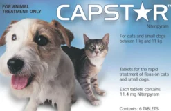 Capstar Fast Flea Knockdown for Cats and Dogs Outlet