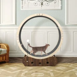 Lucky Pet Cat Exercise Wheel Running Treadmill Exerciser Scratcher Toy Furniture Sale