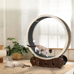 Lucky Pet Cat Exercise Wheel Running Treadmill Exerciser Scratcher Toy Furniture Sale