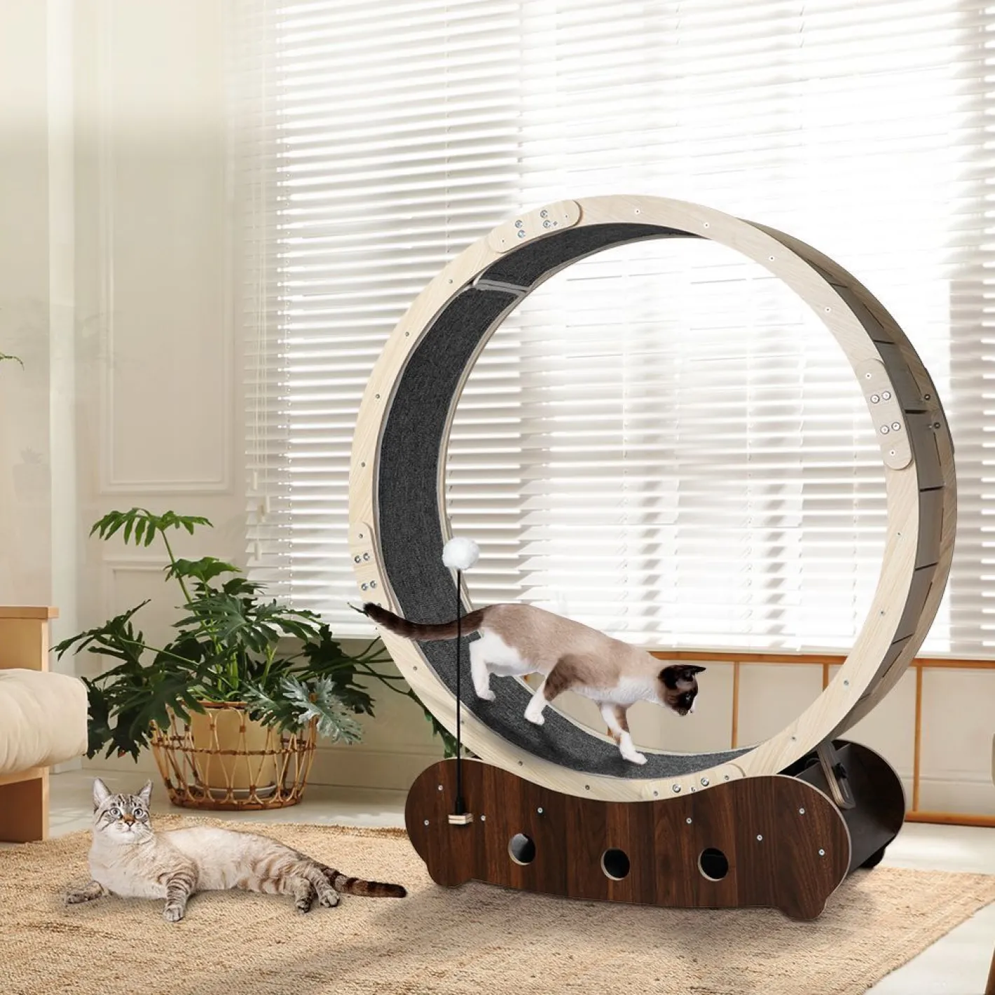 Lucky Pet Cat Exercise Wheel Running Treadmill Exerciser Scratcher Toy Furniture Sale