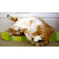 Catit Cardboard Cat Scratch Lounger "Jungle Stripe" Hot
