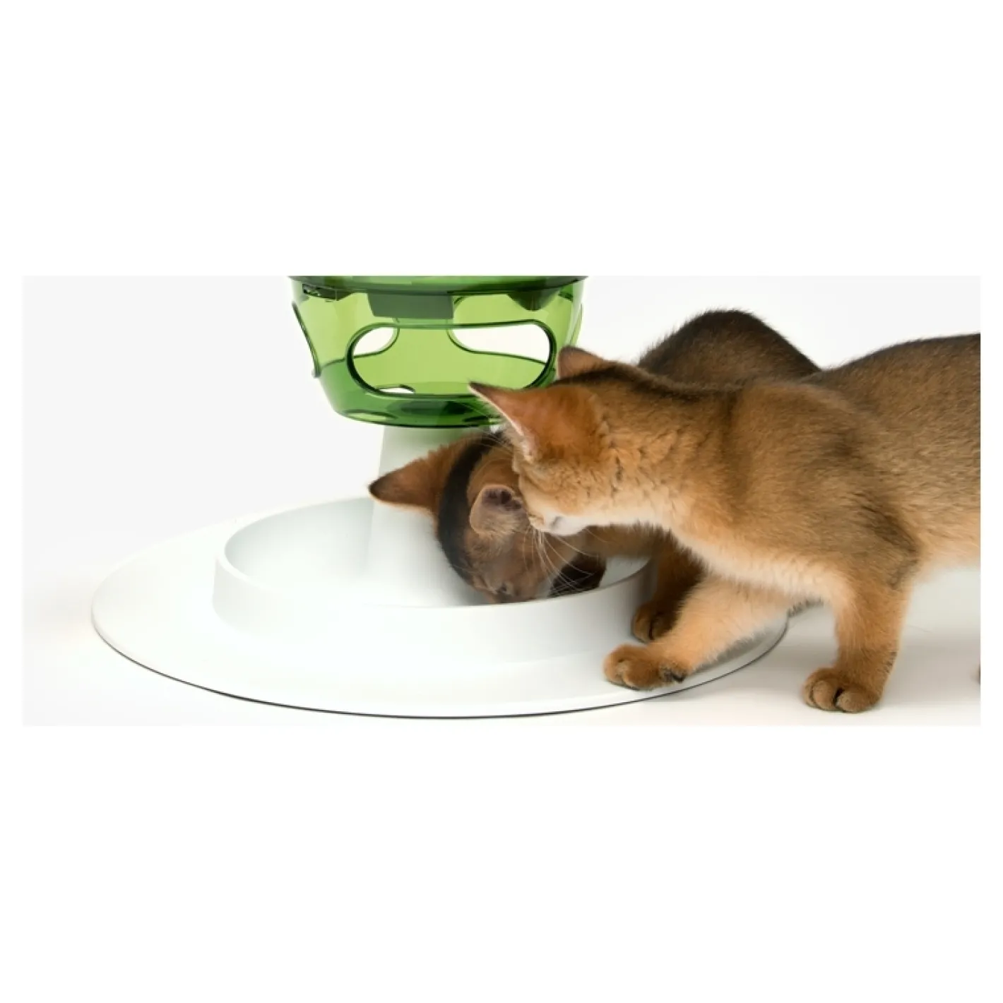 Catit Senses 2.0 Cat Food Tree - New & Improved Food Slow Food Maze Fashion