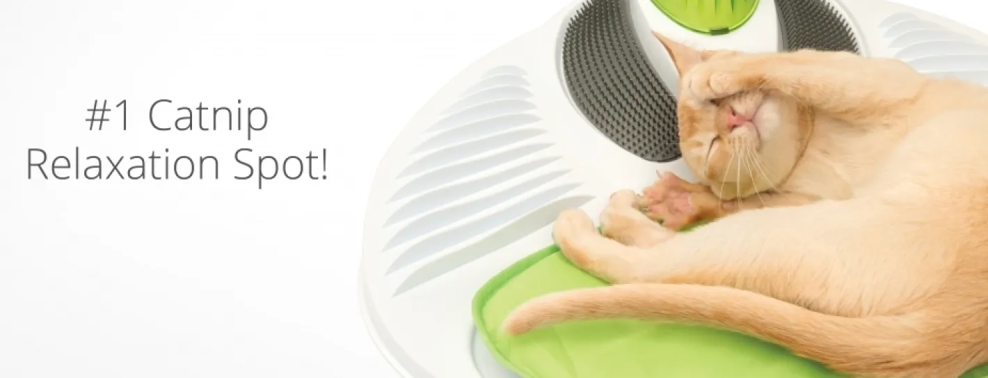 Catit Senses 2.0 Wellness Centre for Cats with Catnip Best