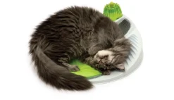 Catit Senses 2.0 Wellness Centre for Cats with Catnip Best