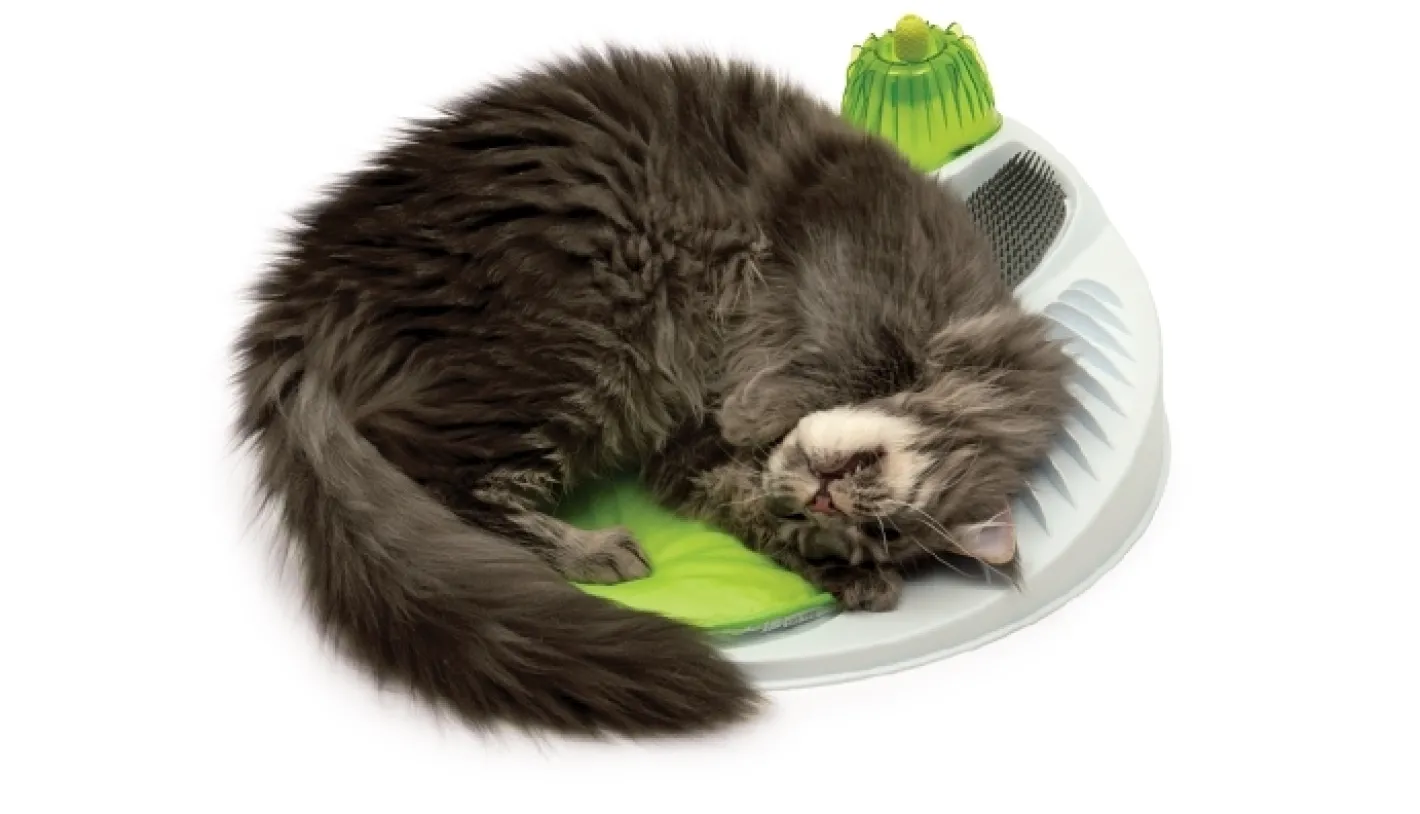 Catit Senses 2.0 Wellness Centre for Cats with Catnip Best