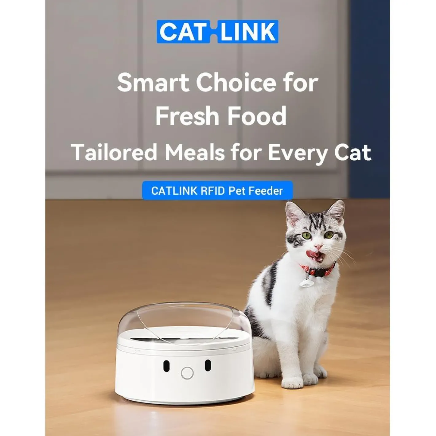 Petkit CATLINK RFID Smart Feeder – Automatic Meal Dispenser for Cats & Small Dogs Hot