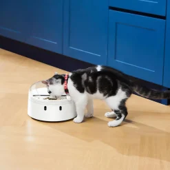 Petkit CATLINK RFID Smart Feeder – Automatic Meal Dispenser for Cats & Small Dogs Hot
