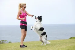 Doog Hands-Free Dog Walkie Belt in Black - New Design & Size! Outlet