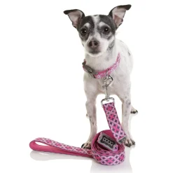 Doog Neoprene Clip Dog Collar - Toto - Geometric Pink & Navy Fashion