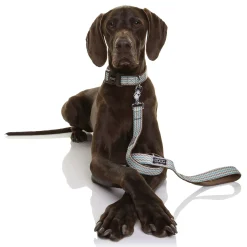 Doog Neoprene Dog Lead - Benji - Aqua & Blue Chevron Hot
