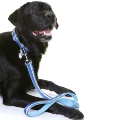 Doog Neoprene Dog Lead - Pluto - Blue Waves Discount