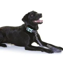 Doog Neoprene Dog Lead - Pongo - Black & White Spots Clearance