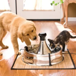 Drinkwell 360 Stainless Steel Multi-Pet Drinking Fountain 3.8 Litres Discount